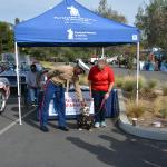 Vettes_Vets_0036 (November 12, 2017)